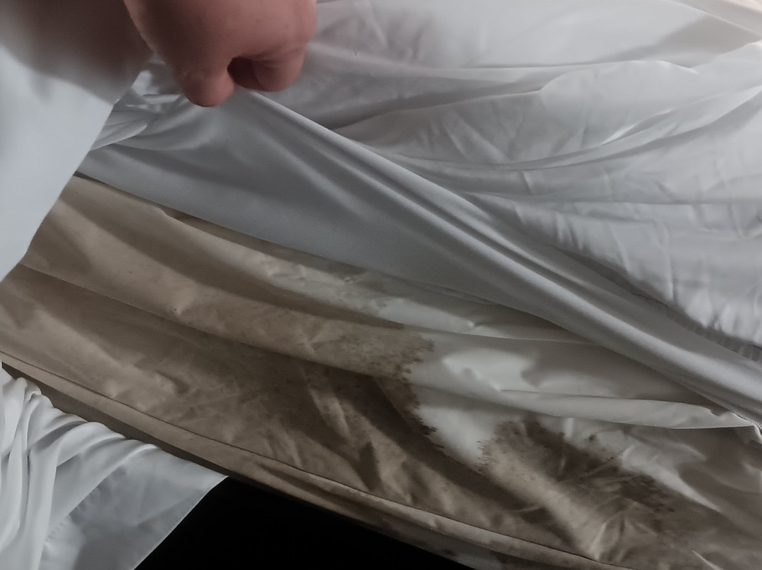 Rodeway Inn & Suites主图