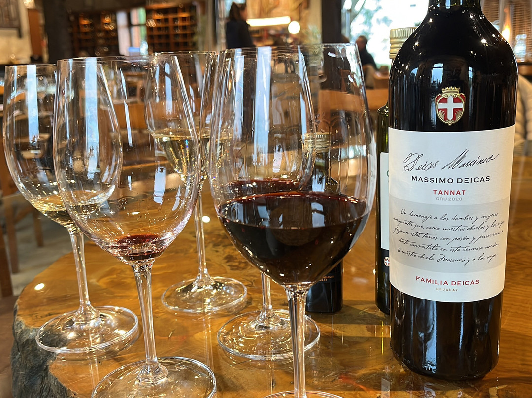 Vinicola Familia Deicas-Canelones必去景点
