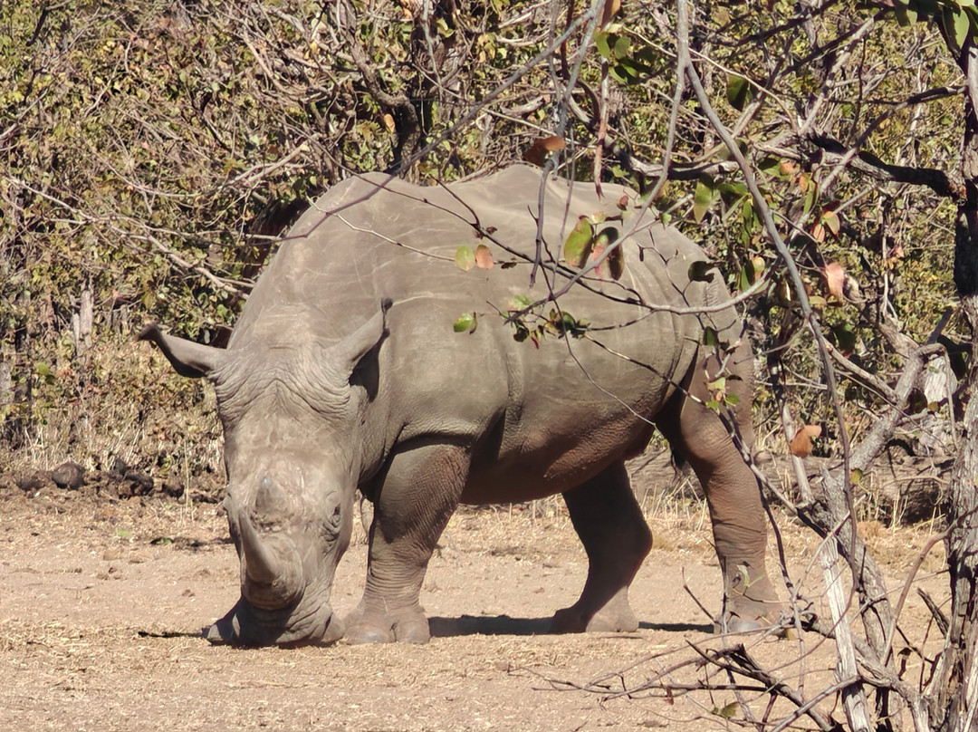 Mosi-oa-Tunya National Park-李文斯顿必去景点