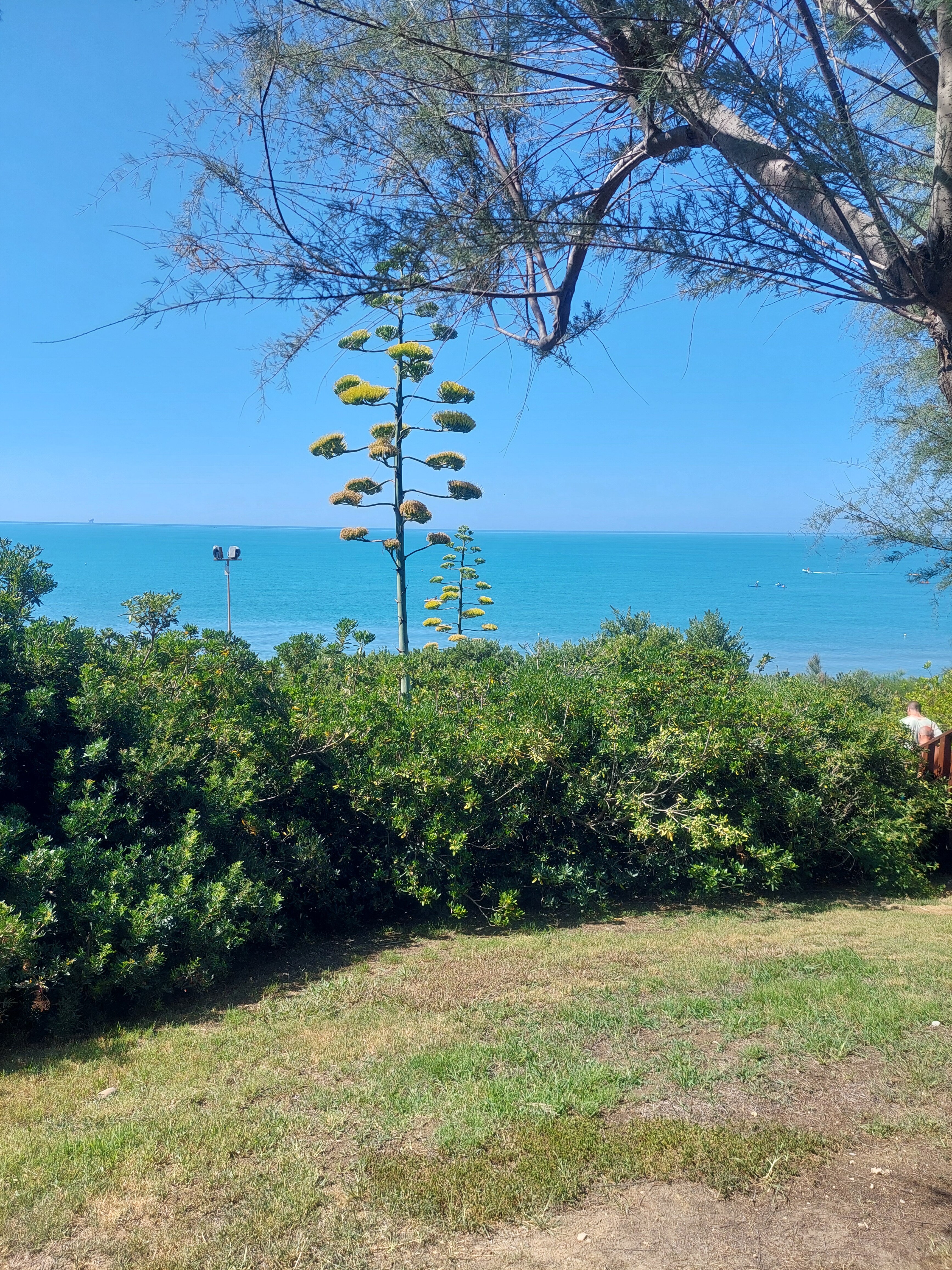 Serenusa Resort-官方