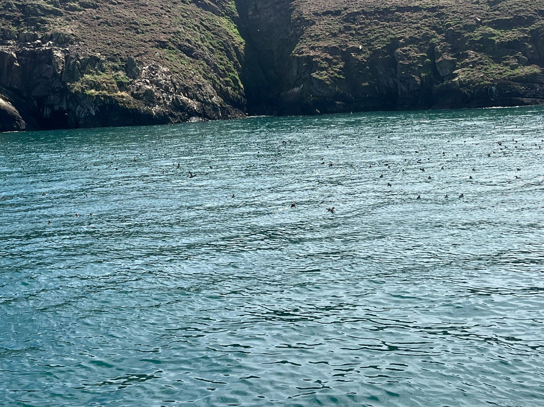 Pembrokeshire Islands Boat Trips-Marloes必去景点