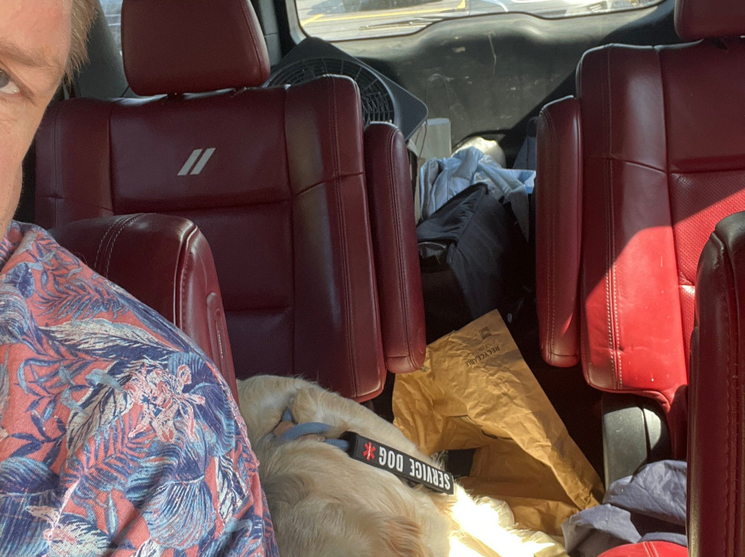 Branson's Promised Land Zoo-布兰森必去景点