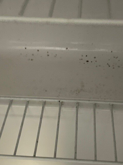 贝斯特韦斯特普勒斯舍伍德旅馆及套房酒店-客卧