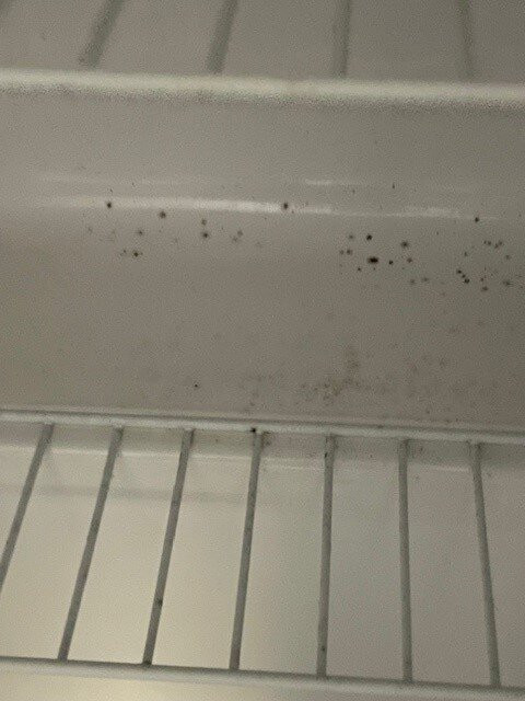 贝斯特韦斯特普勒斯舍伍德旅馆及套房酒店主图