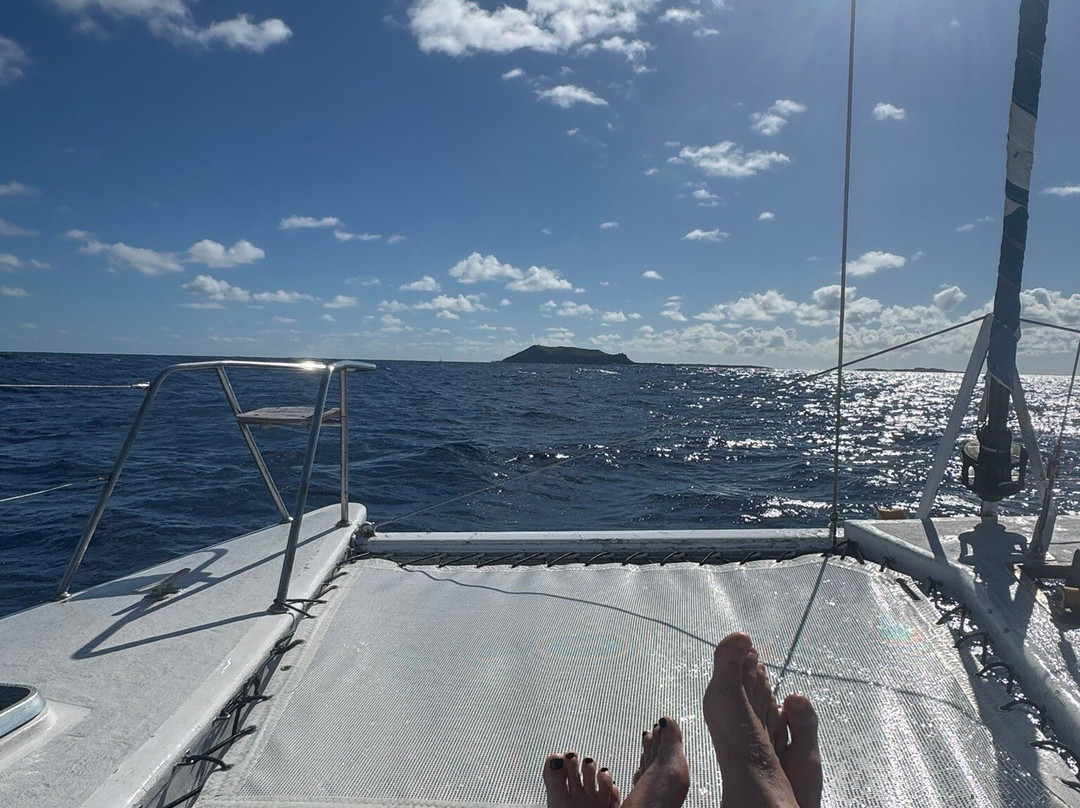 Dreamcatcher Catamaran Tours-开普马欧呵必去景点