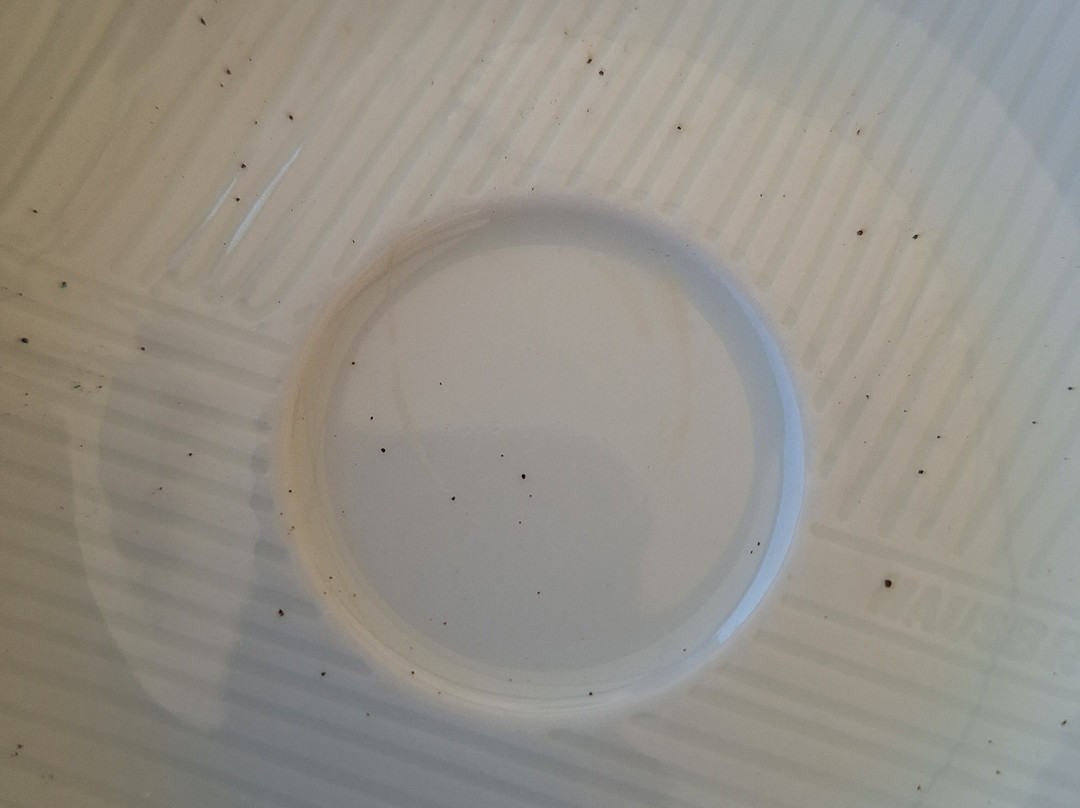 Hotel Columbus主图