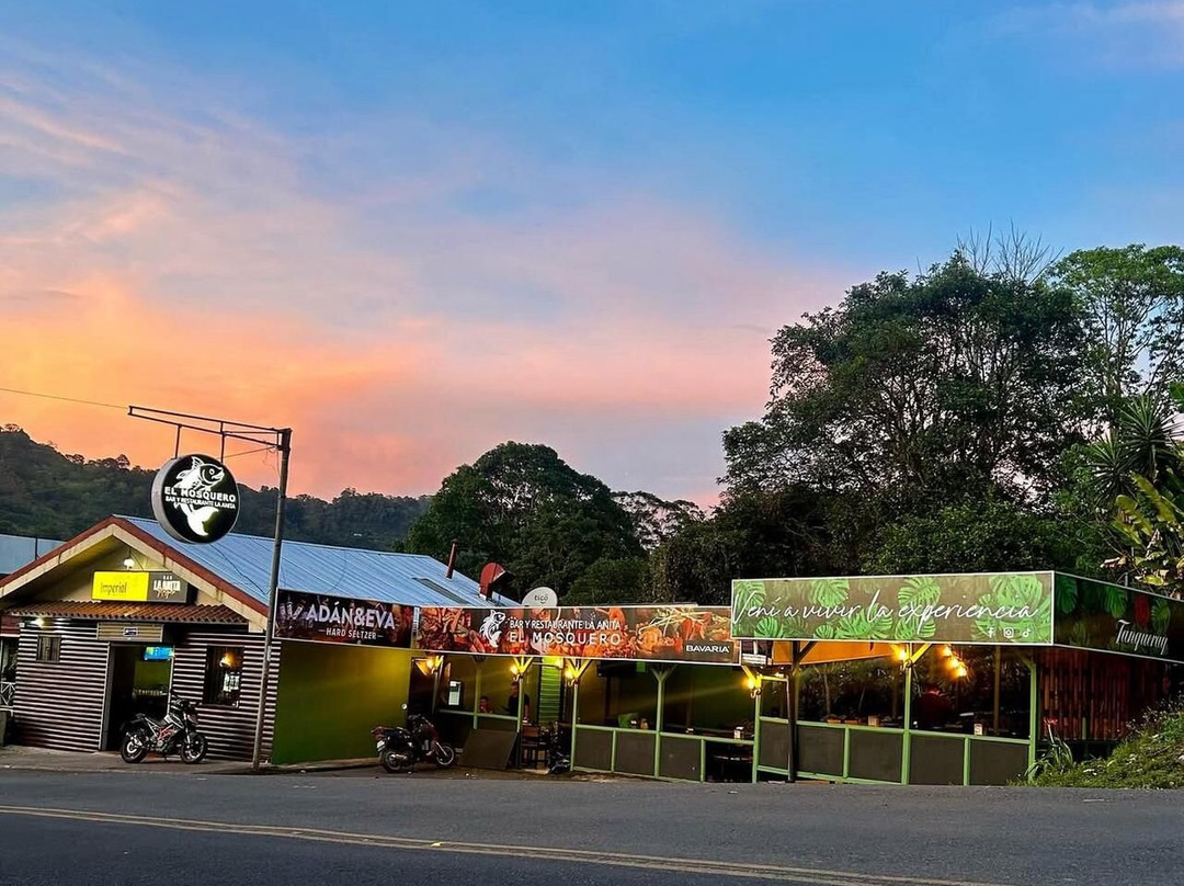 Bar Y Restaurante La Anita (el Mosquero)