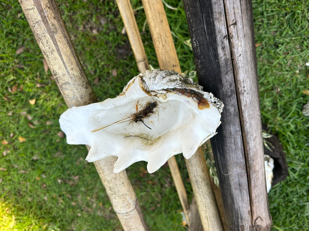 Paruki Transfer & Tour Adventures-维拉港必去景点