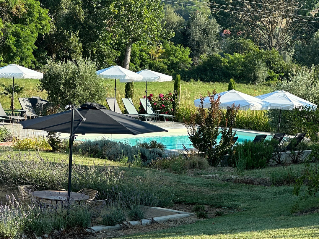 Sotto La Vigna主图