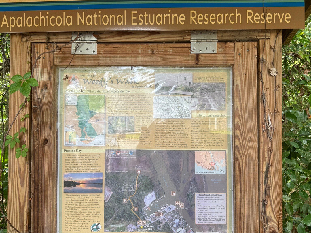 Scipio Creek Boardwalk-Apalachicola必去景点