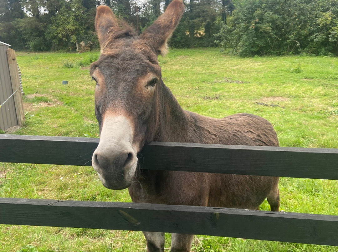 The Haven Lodge主图