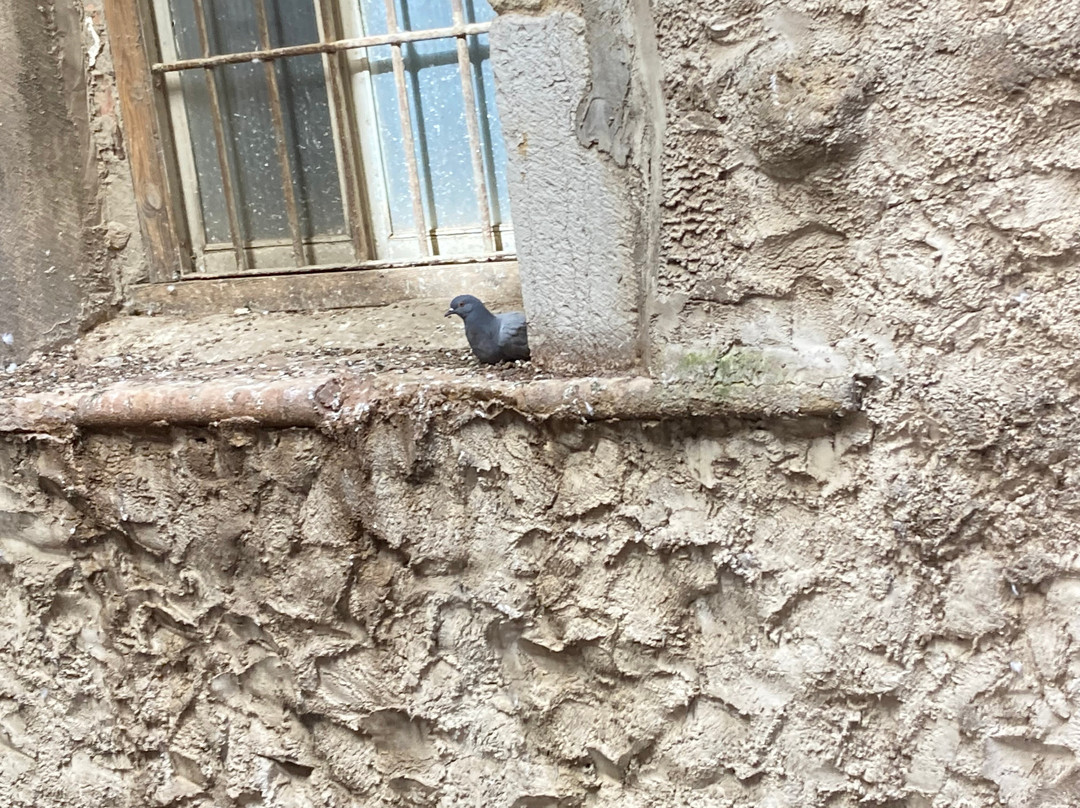 ARVA Hotel Spa Paris主图