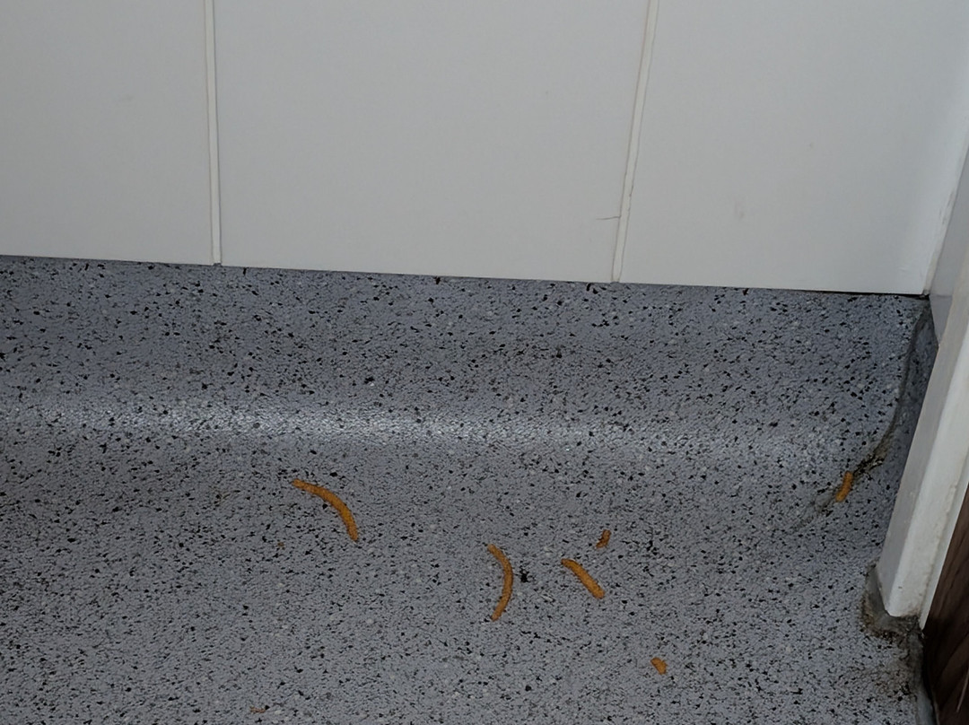 Travelodge Milton Keynes Old Stratford主图