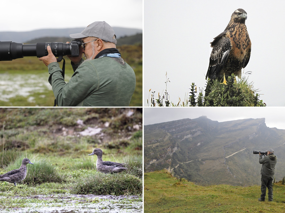 Fotografia Palma y Niebla-萨伦托必去景点