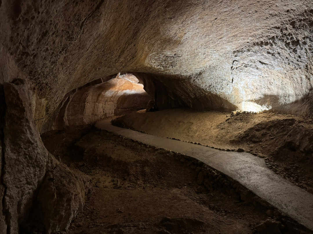 Dachstein Rieseneishöhle-上特劳恩必去景点