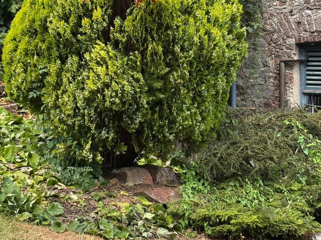 Crowndale Hotel主图