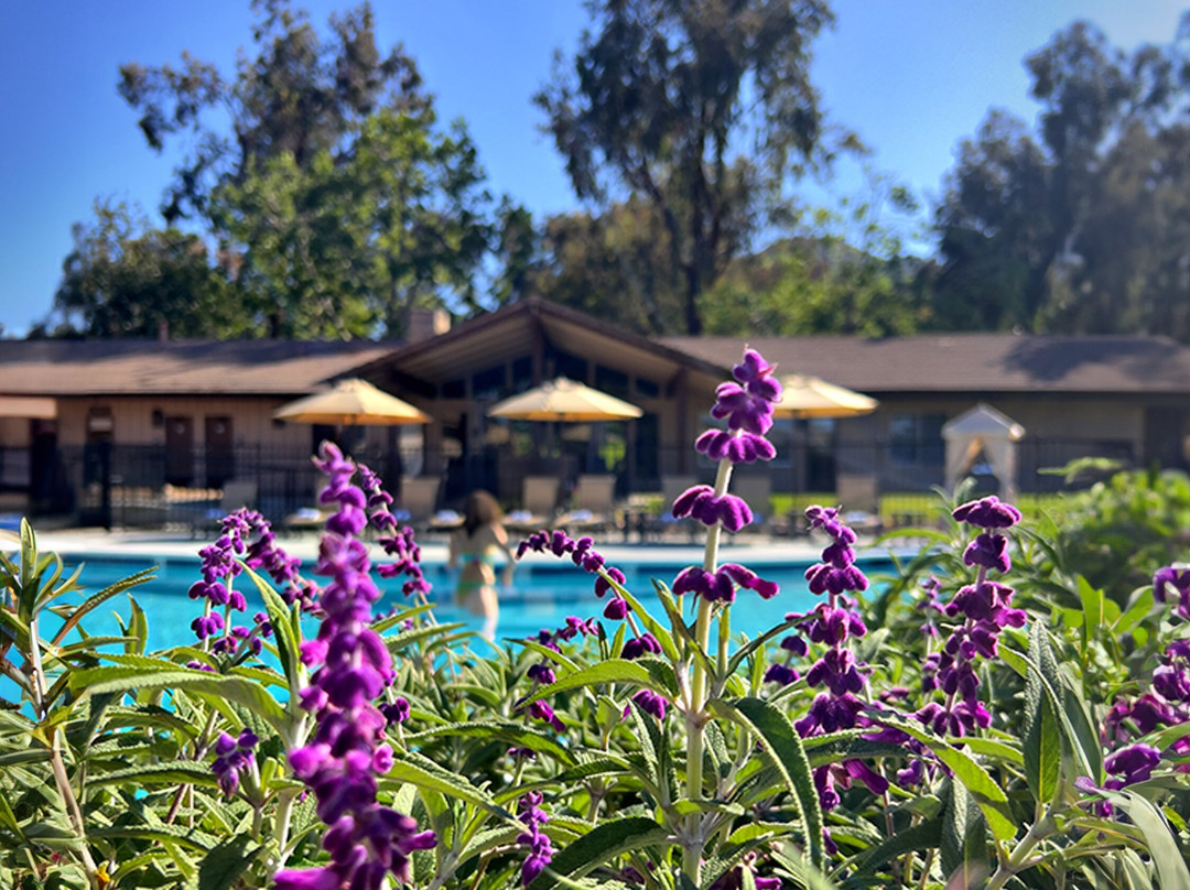 Temecula Creek Inn主图