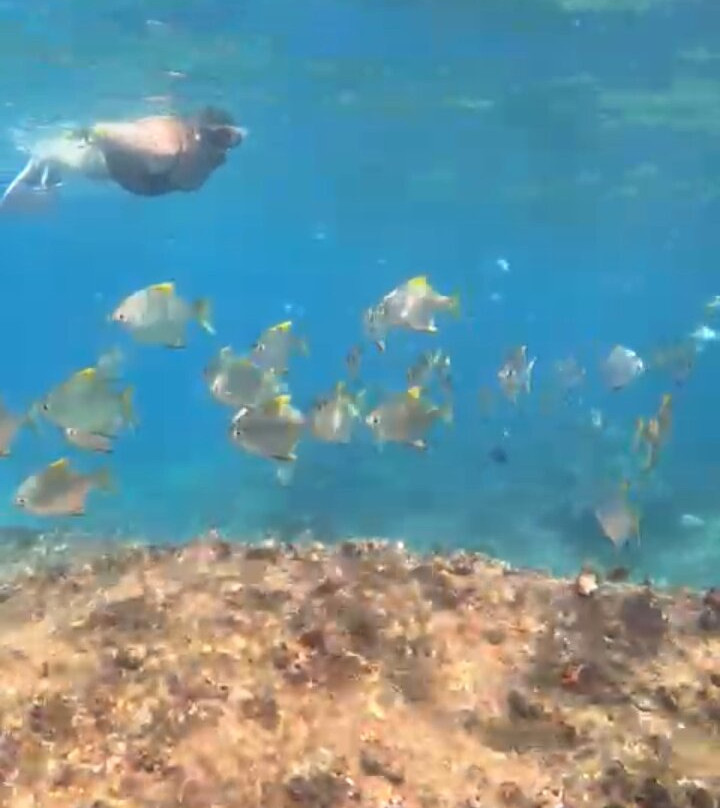 Sri Lanka Tours Taxi-Rambukkana必去景点