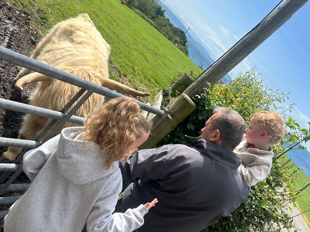 Bellevue Farm Tours-Blackwaterfoot必去景点