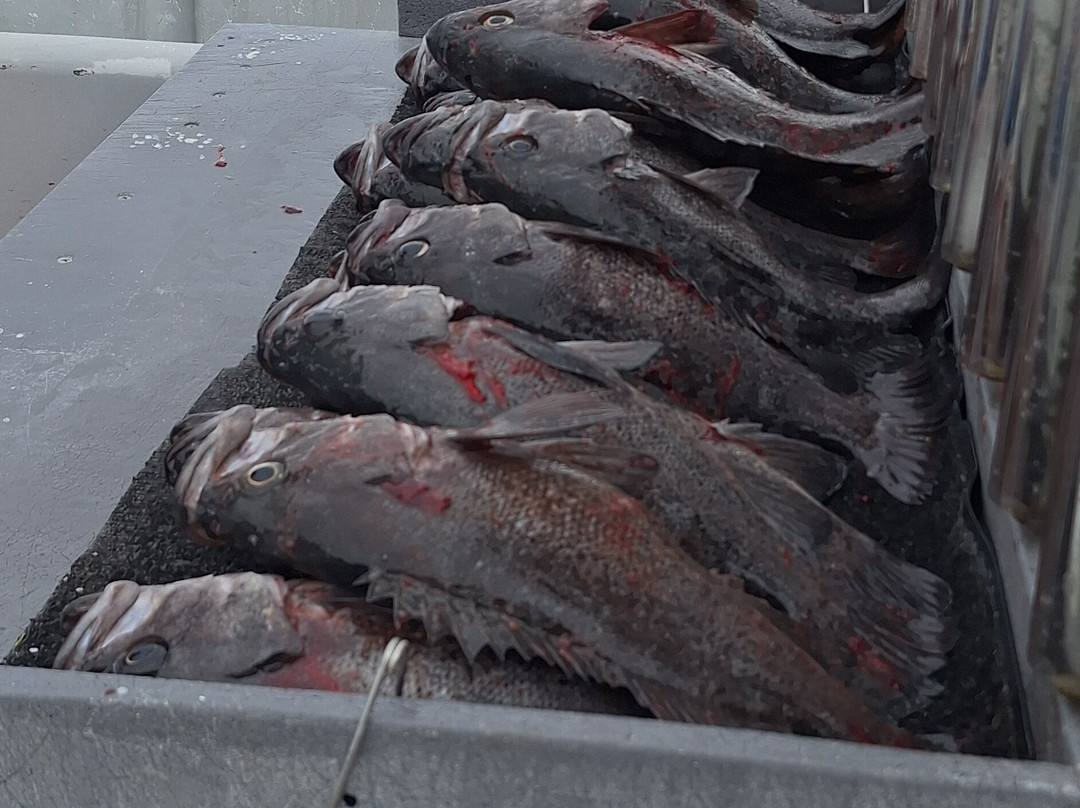 Tornado Fishing Charters-Westport必去景点