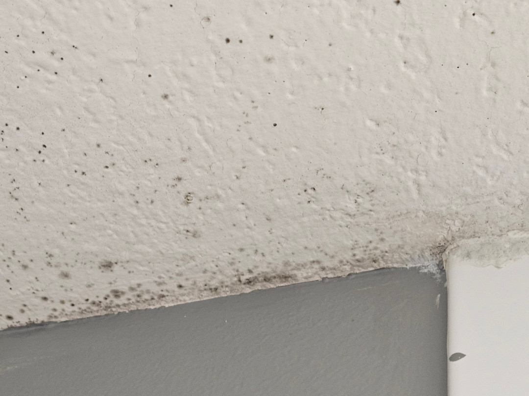 La Quinta Inn & Suites by Wyndham Chicago Gurnee主图