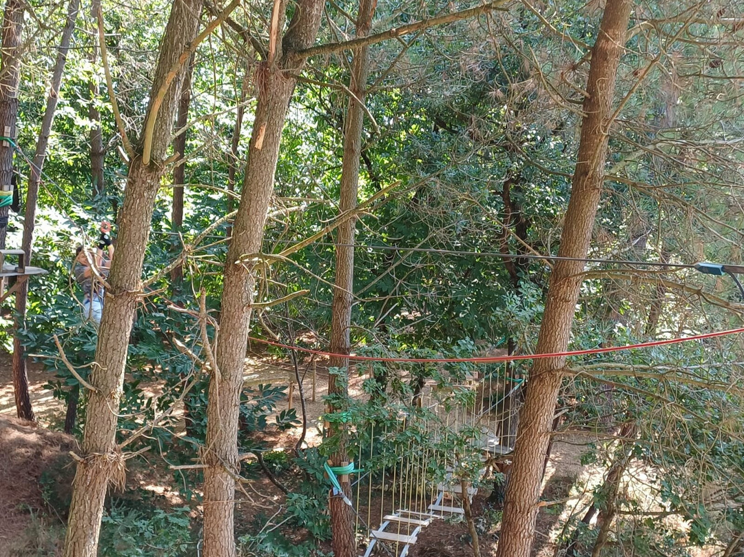 Parcours aventure 49-Brion必去景点