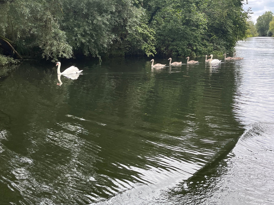 H.E.Hipperson-Beccles必去景点