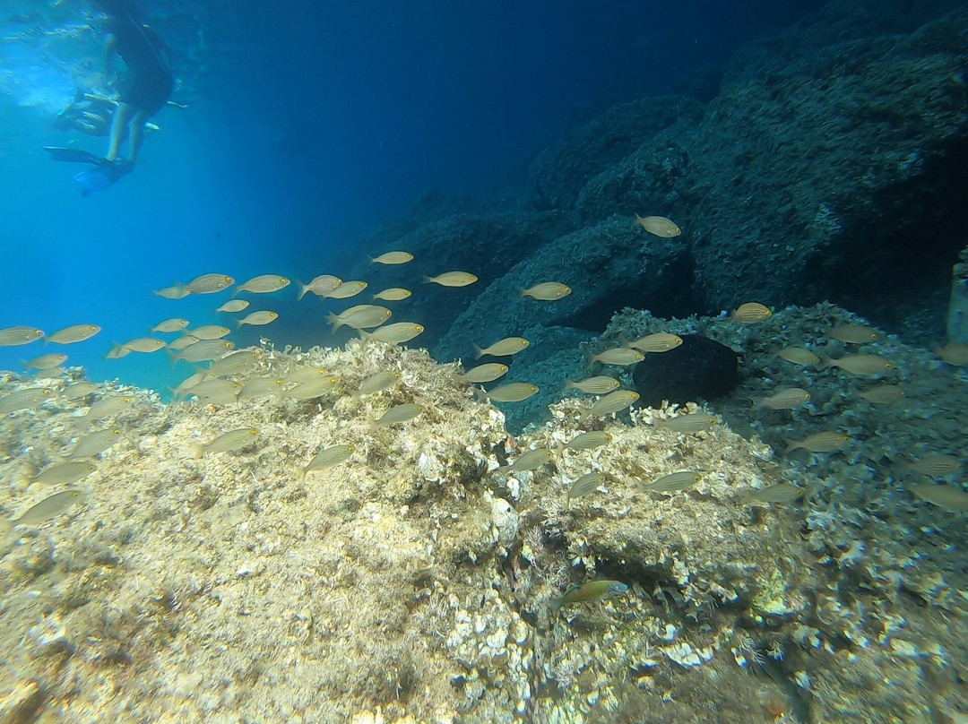 Black Rock Dive Centre-Skala Eresou必去景点
