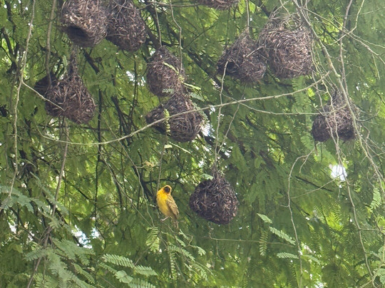 Visit Our Salalah-塞拉莱必去景点