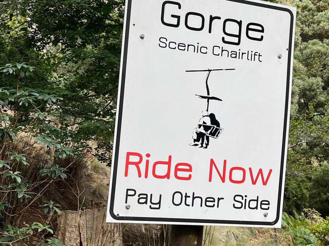 Gorge Scenic Chairlift-朗塞斯顿必去景点