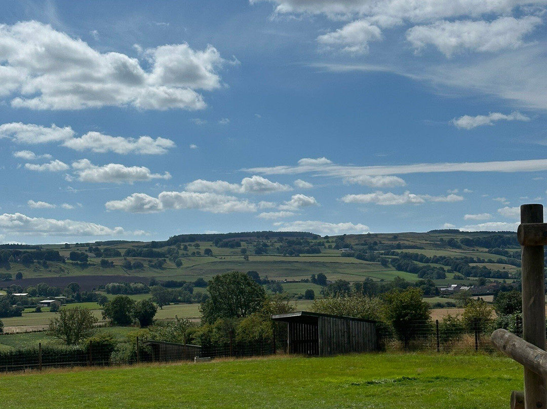 Mainsgill Farm-East Layton必去景点