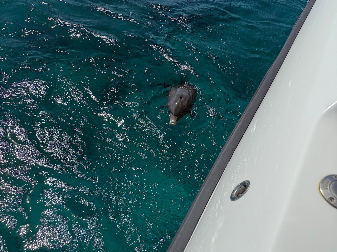 Kenard Cruises-普罗维登西亚莱斯必去景点