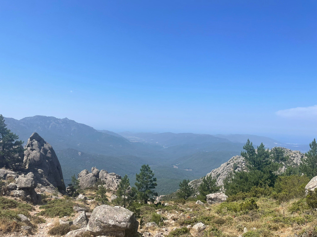 Foret de l'Ospedale-维琪奥港必去景点
