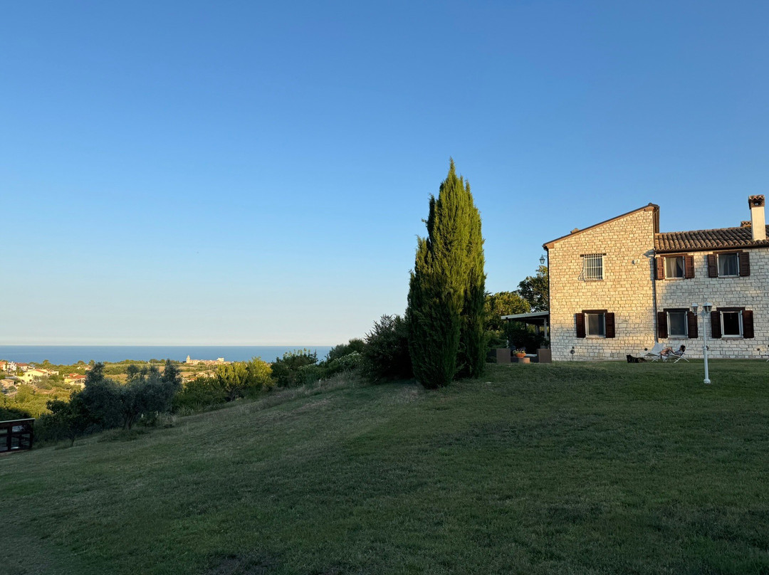 Alle Pendici del Conero主图