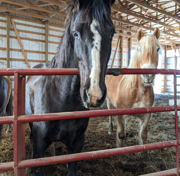 Muddy Water Equestrian Park-Mount Healthy必去景点