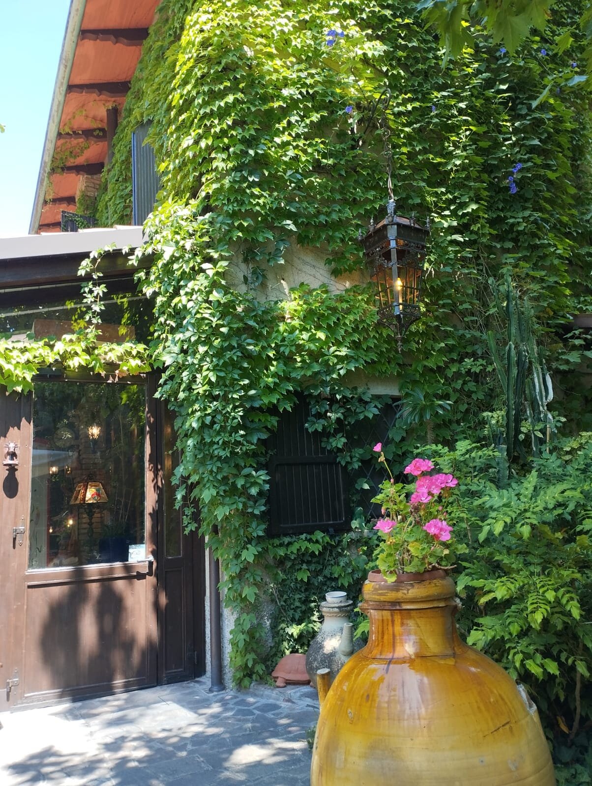 Bosco del Ciu-官方