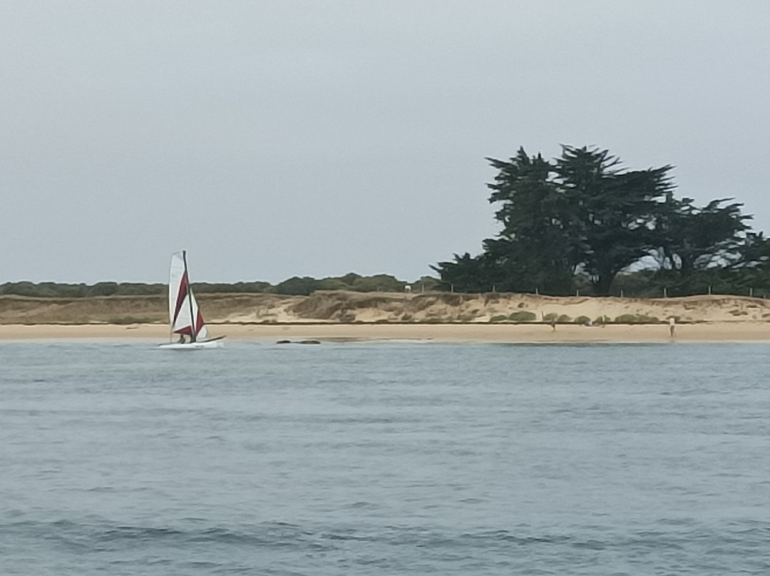 Navix-瓦讷必去景点