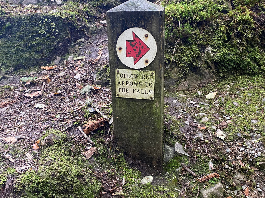 Stock Ghyll Force-安布赛德必去景点