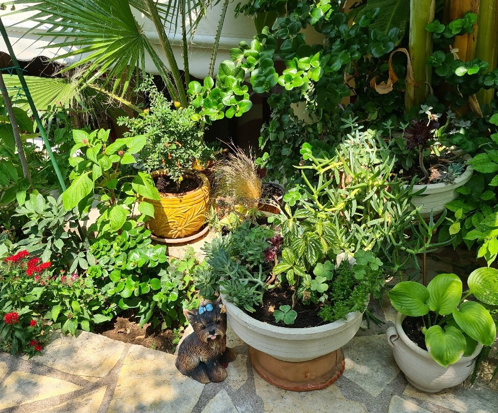 Hotel Loukas Vrachos主图