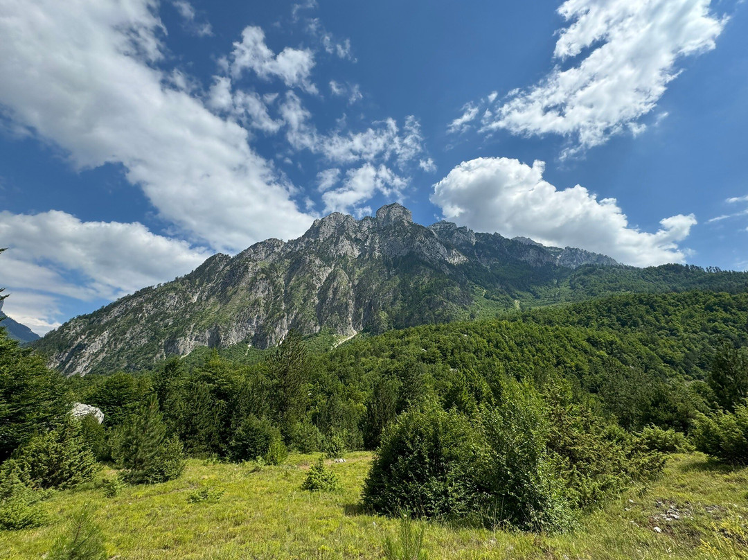 Valbona酒店住宿-Villas Jezerca