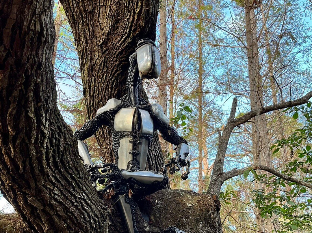 Boyd Hill Nature Preserve-圣彼德斯堡必去景点