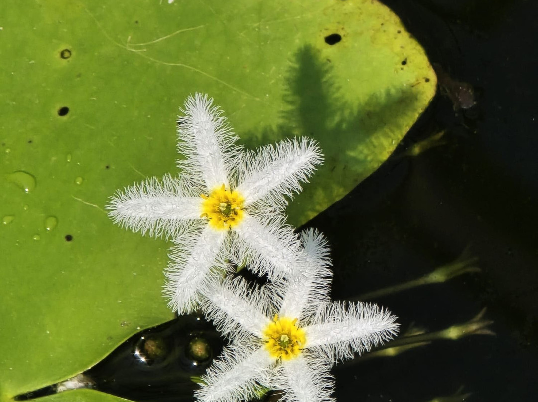 Latour-Marliac-Le Temple-sur-Lot必去景点
