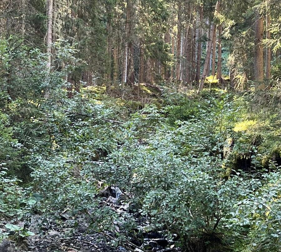 Club Hotel Regina e Fassa主图