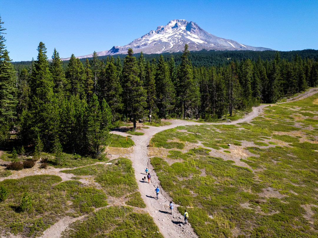 Mt Hood Outfitters-Government Camp必去景点