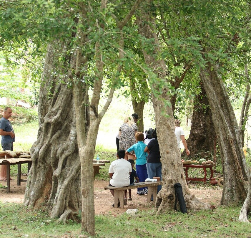 Trincomalee Beach-Trincomalee必去景点