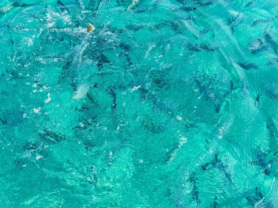 Pace di Mare-Propriano必去景点