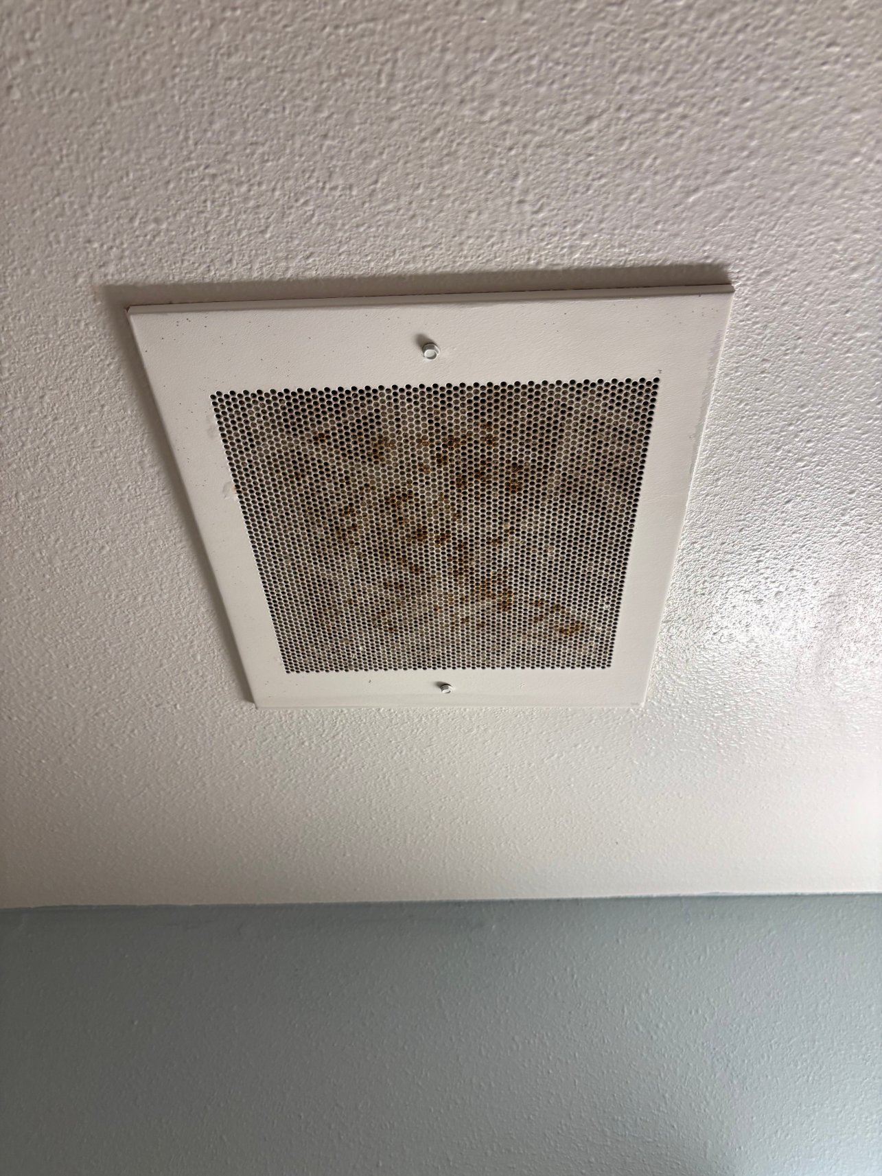 格林维尔中央 I-85 伍德斯普林套房酒店-客卧