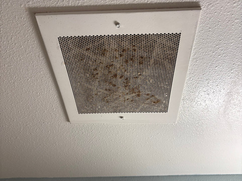 格林维尔中央 I-85 伍德斯普林套房酒店主图