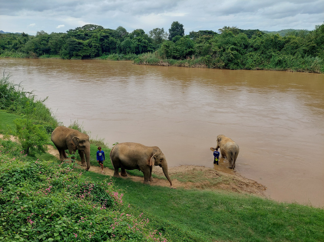 Somboon Legacy Foundation-Klon Do必去景点