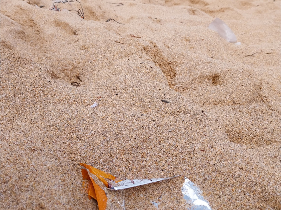 Sidi Bouzid Beach (Plage de Sidi Bouzid)-摩洛哥-马扎甘葡萄牙城必去景点